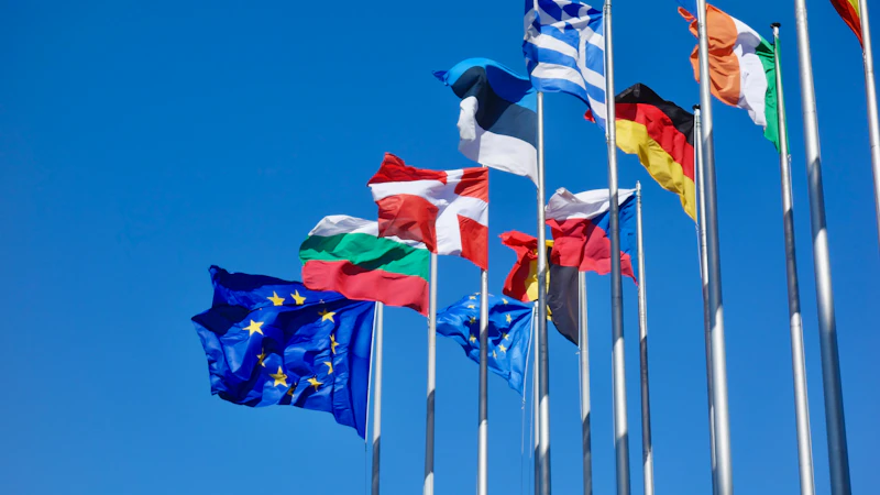 a bunch of flags that are flying in the air