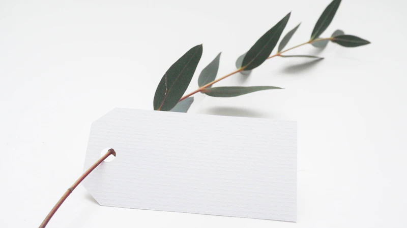 green leaf with white card