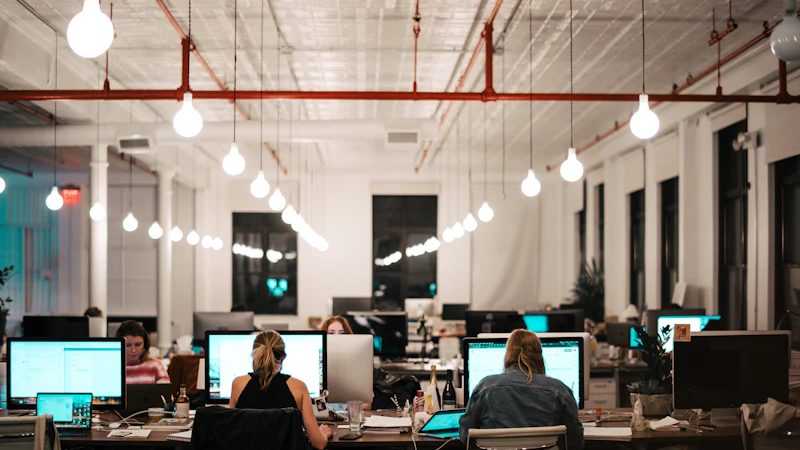 people sitting on chair in front of computer