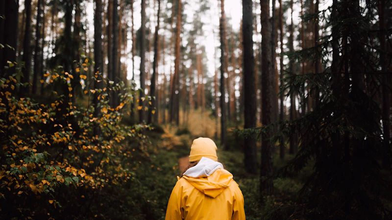 person walking towards forest