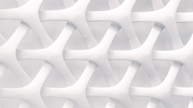white and gray optical illusion
