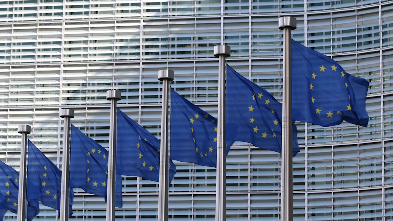 row of european union flags