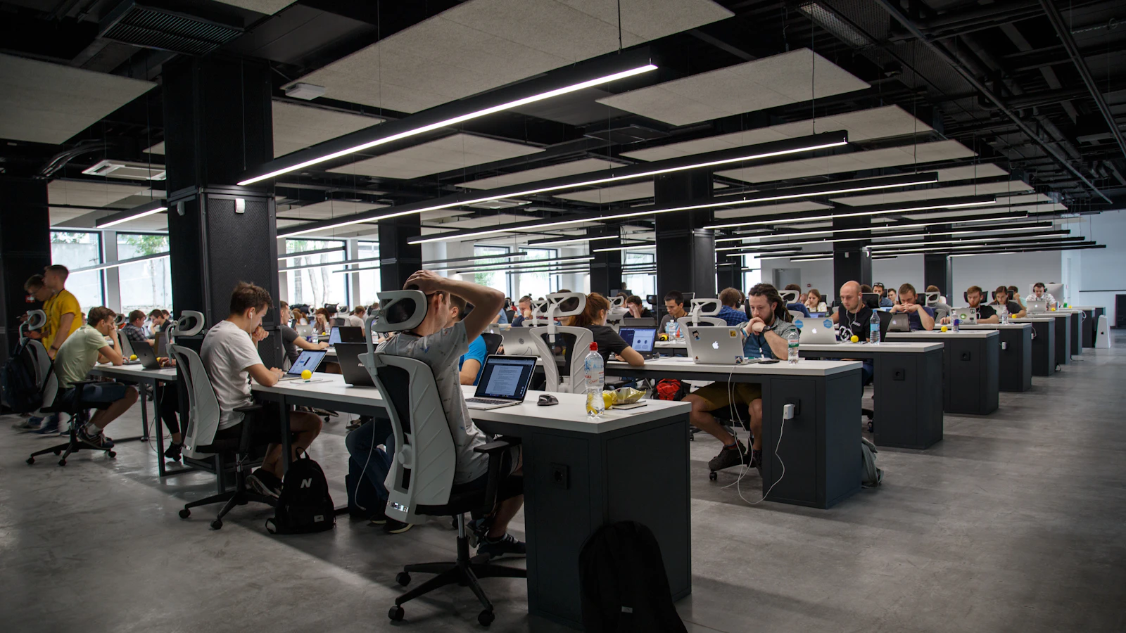 people doing office works