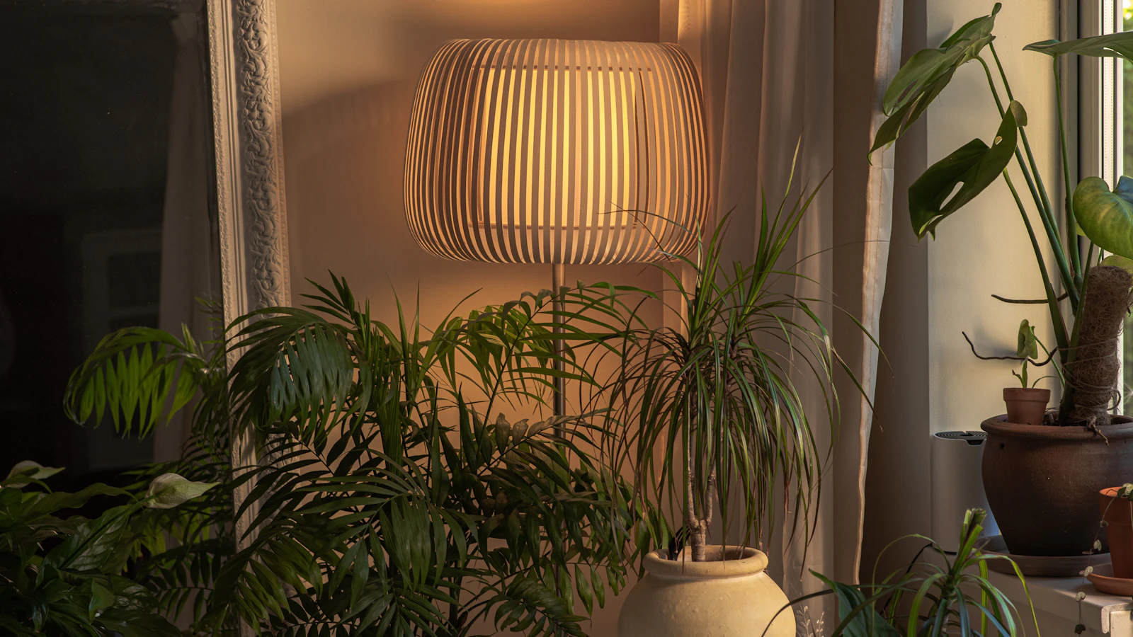 a lamp next to a plant